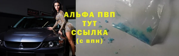 сатива Алексеевка
