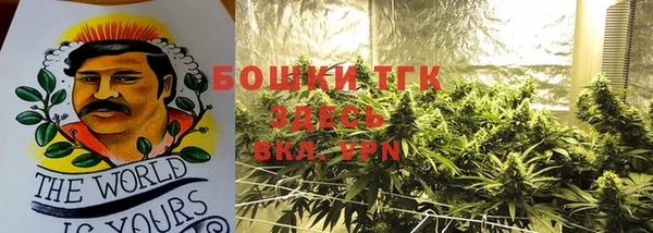 сатива Алексеевка