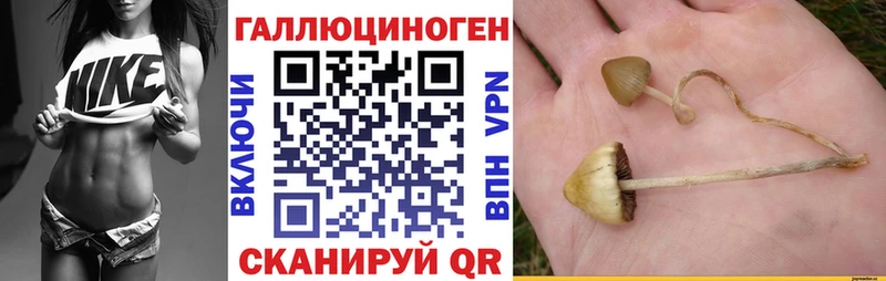 Галлюциногенные грибы GOLDEN TEACHER маркетплейс какой сайт Аткарск